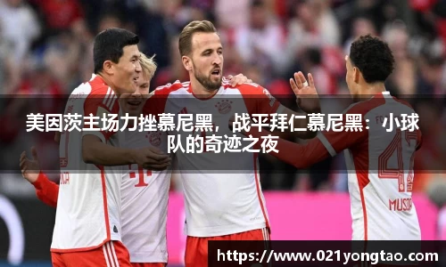 OB欧宝官网