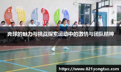 OB欧宝网址
